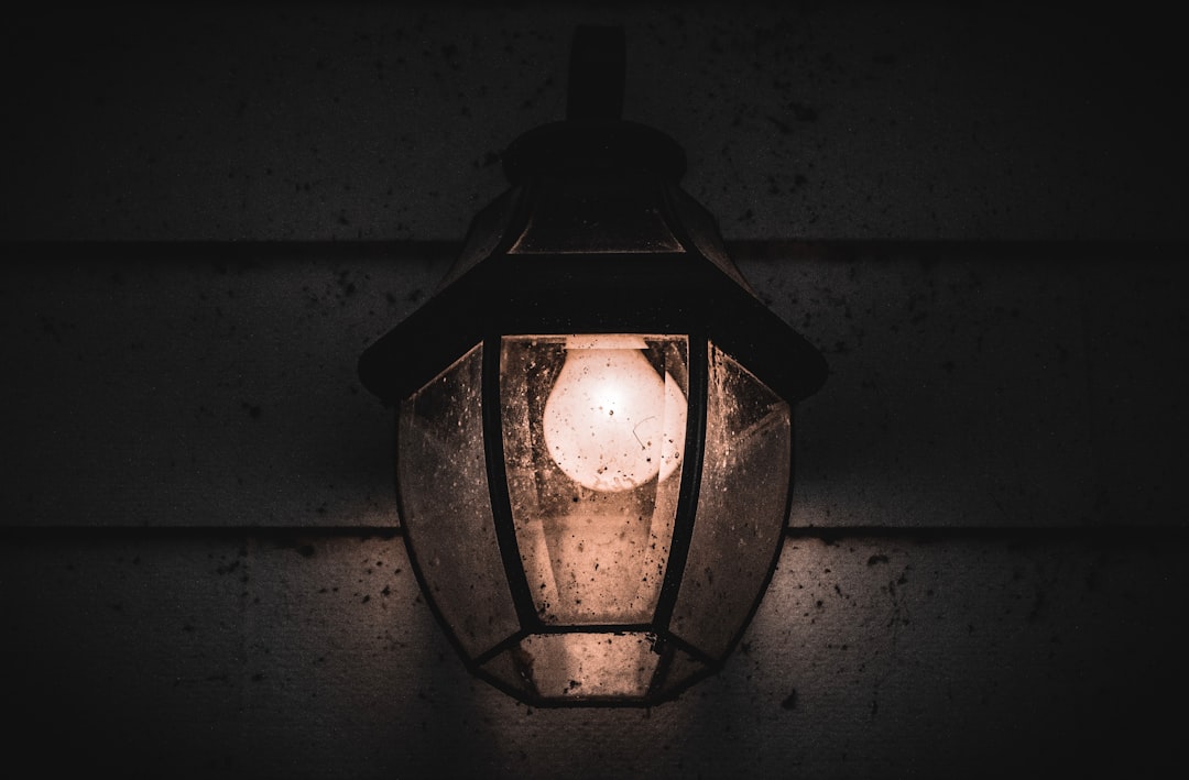 Photo motion sensor lantern pendant